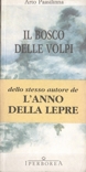 Il bosco delle volpi