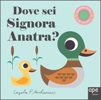 Dove sei Signora Anatra?